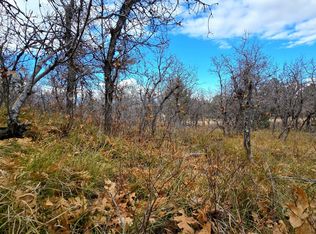 138 E Oak Ridge Dr, Mount Pleasant, UT 84647