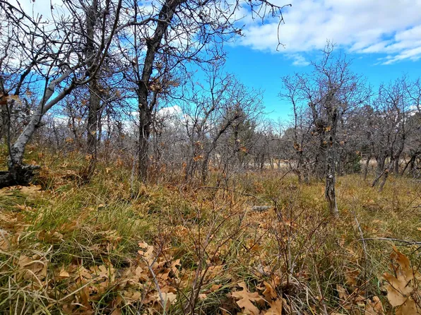 138 E Oak Ridge Dr, Mount Pleasant, UT 84647