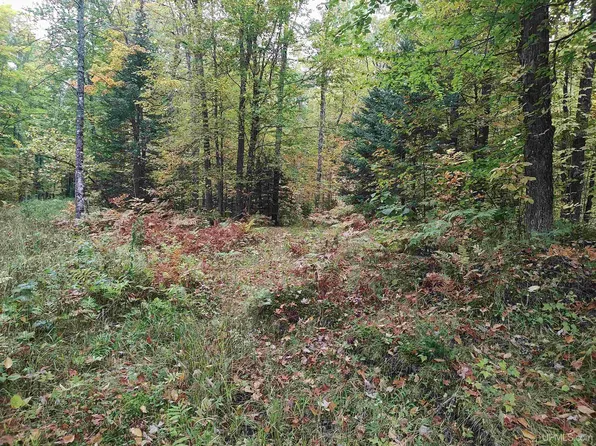 S Laird Rd, Pelkie, MI 49958