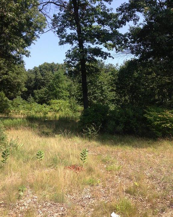 2nd image of 2082 E River Rd
