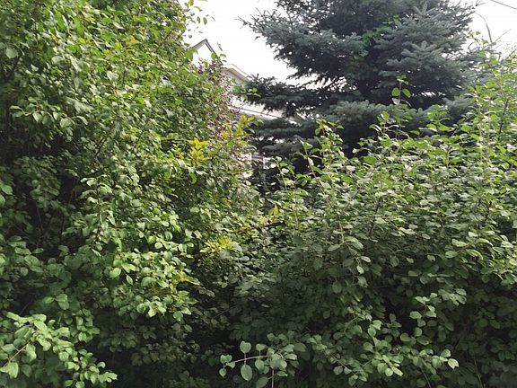 2nd image of 1660 Woodlawn Ave SE