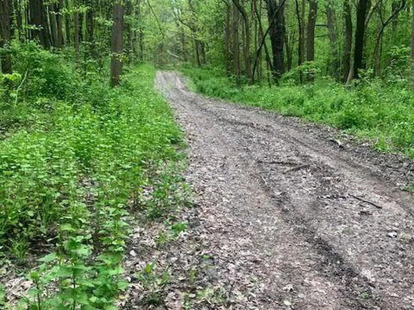 Rolling Acres Dr, Hartland, MI 48353