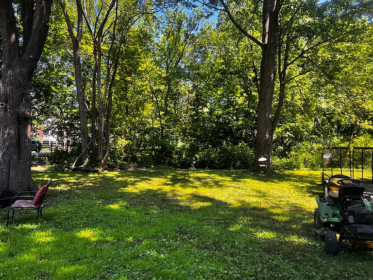 Open Space back yard