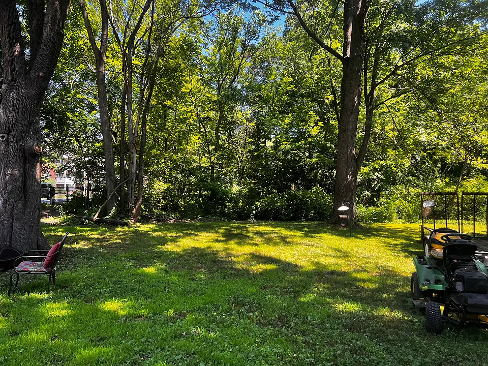 Open Space back yard