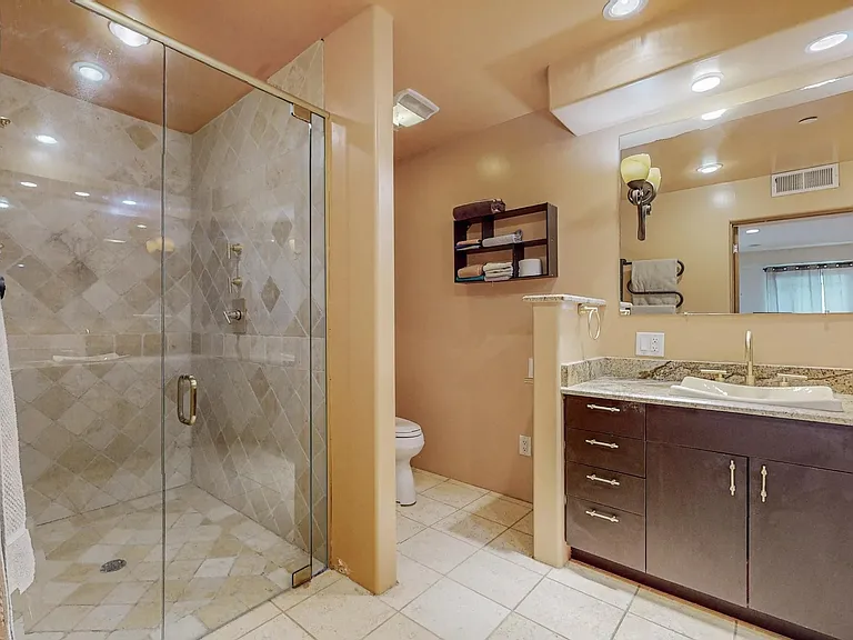 Shower and commode from the doors.