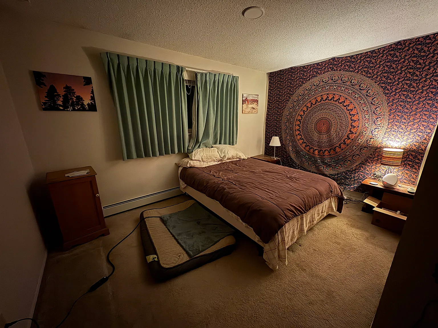 3 bed, 2016 sqft, $900 — Photo 4