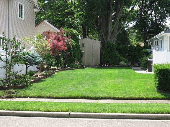 Backyard  with shed 