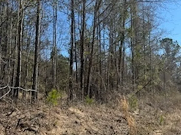 Lots 11 & 12 Shoals Rd, Sparta, GA 31087