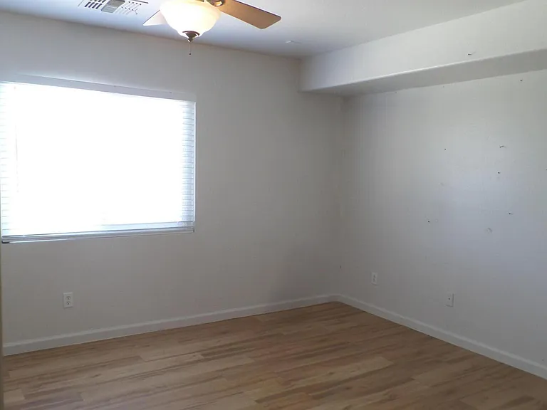 3901 E Morenci Rd — Photo 22