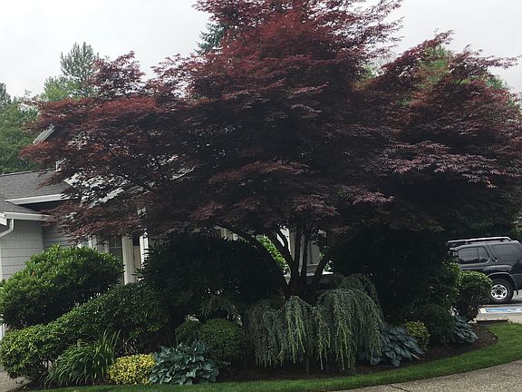  Club house garden area 