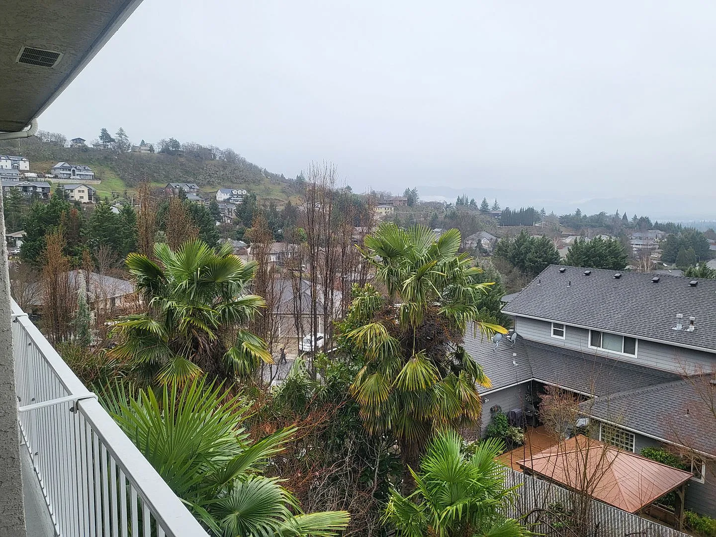 5 bed 3 bath — Photo 3
