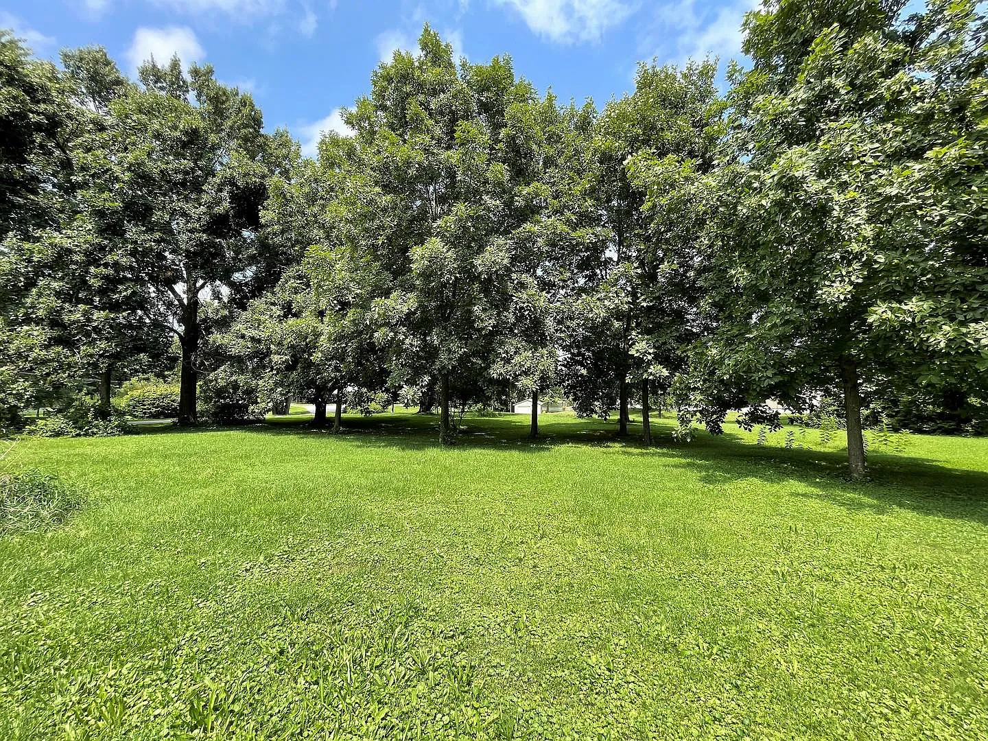 1712 W Spring Ln photo 1
