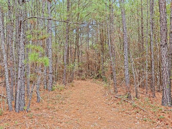 5th image of 12895 County Road 201