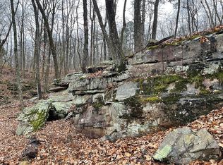 0 Whitt Rd Parcel 4010 025 #TRACT 3, Lookout Mountain, GA 30750