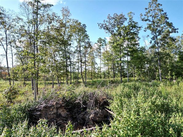 2 Madison County Cres #410, Fredericktown, MO 63645