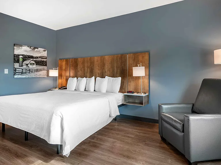 Studio Suite - 1 King Bed