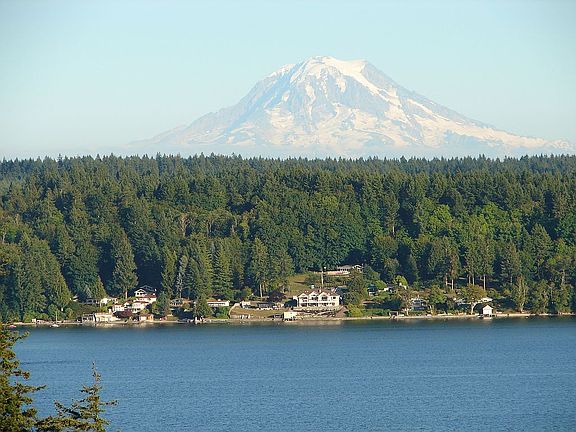 Mt. Rainier
