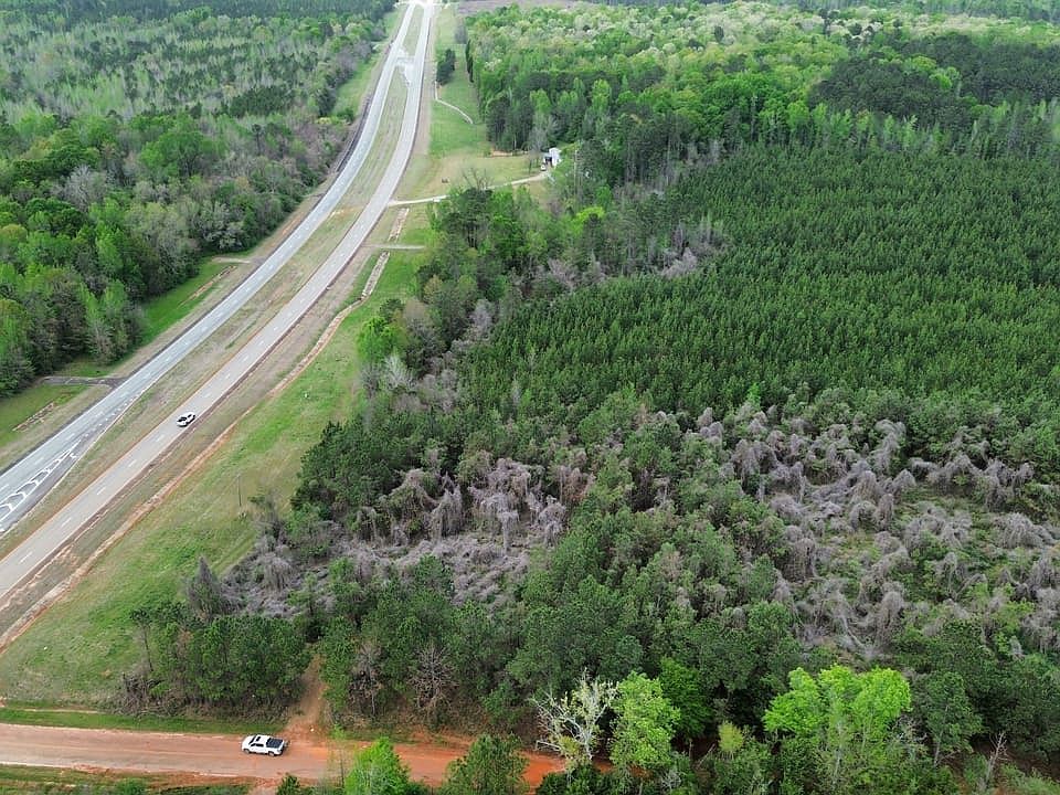 Dji Fly 20260331 145040 564 1774983210876 Photo Optimized