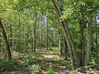 121 Curry Way, Del Rio, TN, 37727