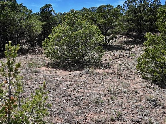 4th image of LOT 79 Colorado Land And Grazing