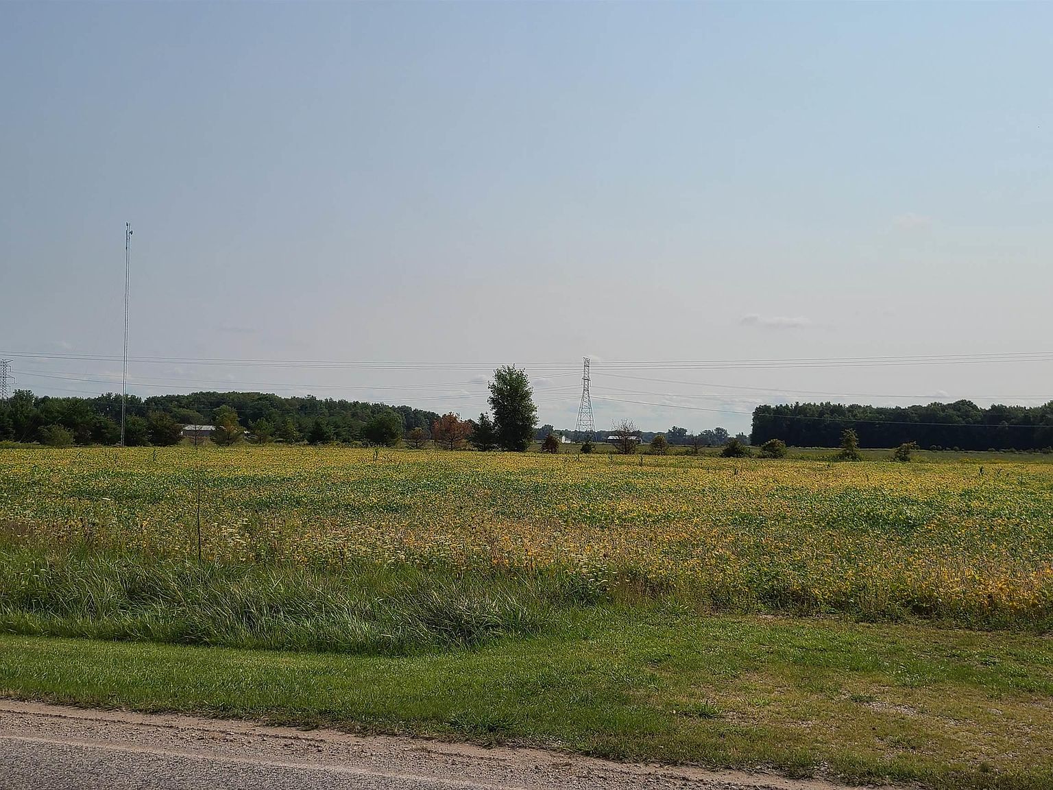 Gary Rd, Chesaning, MI 48616 Zillow