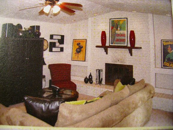 Wood burning fireplace