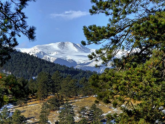Mt. Evans View