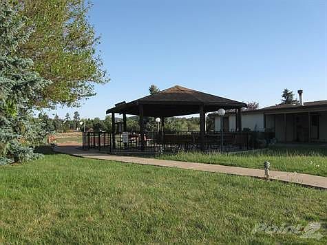 picnic gazebo