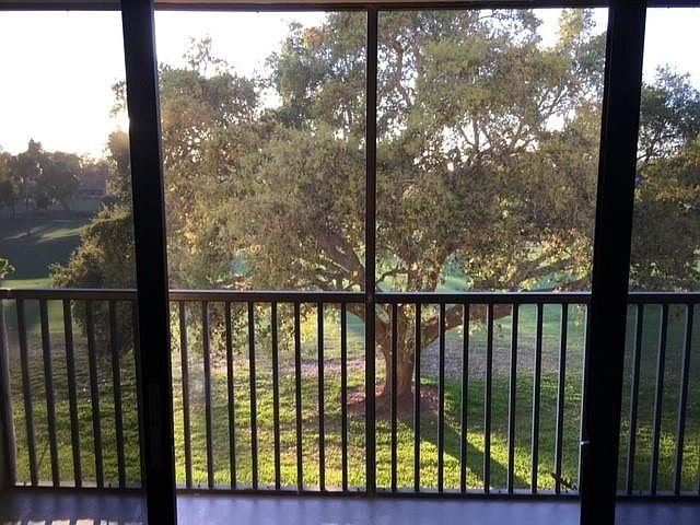 View from Living Room