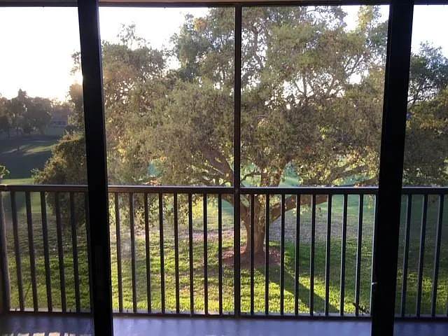 View from Living Room