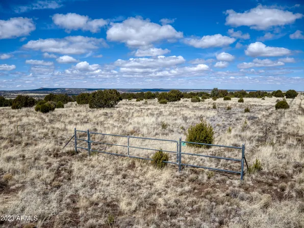 0 Lot 69 Pine Ridge Ranch -- #69, Vernon, AZ 85940