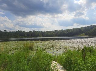 121 Lake Mildred Rd, Hawthorne, FL 32640