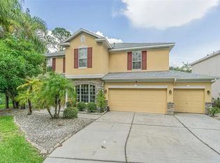 16115 Colchester Palms Dr, Tampa, FL 33647