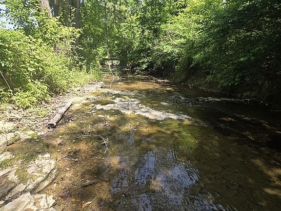 3rd image of 1310 Carney Winters Rd