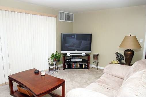 Spacious Living Room