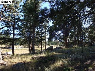 2nd image of 3613 Green Mountain Dr