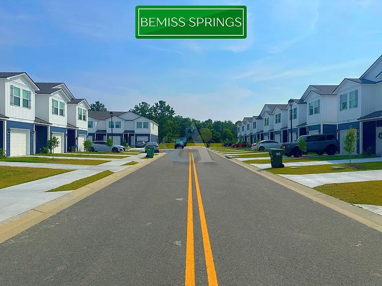 6166 Bemiss Springs Dr #1 — Photo 19