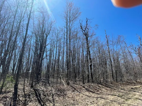 LOT 46 Louise Dr, Elmira, MI 49730