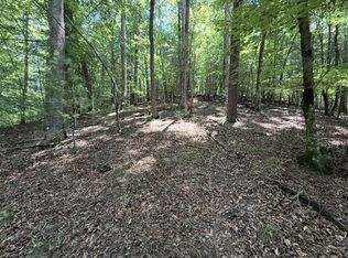 LOT 2607 Magnet Ct, Ellijay, GA 30540