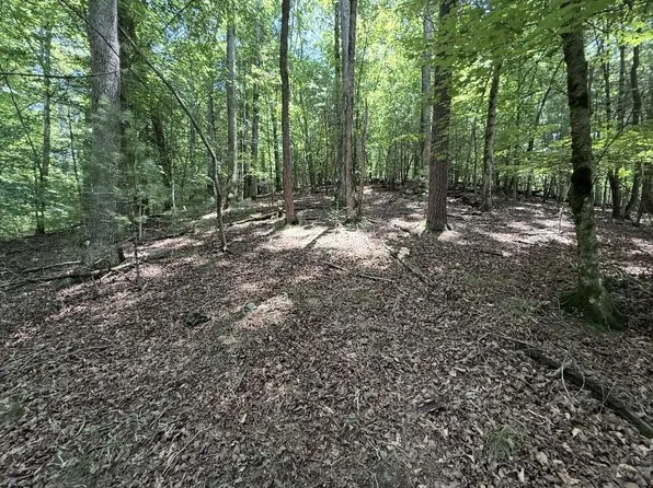 LOT 2607 Magnet Ct, Ellijay, GA 30540