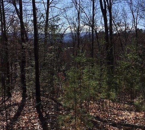 5th image of 128 Bluff Mountain Rd Lot 128