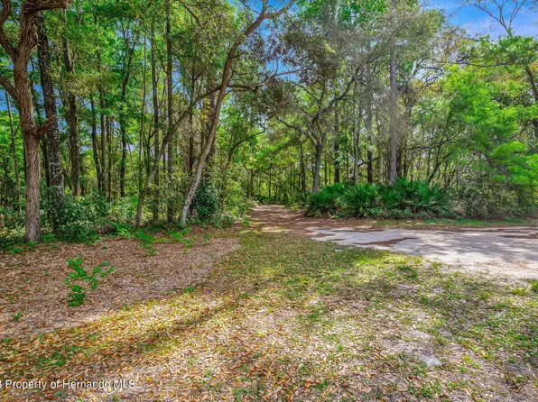 12590 NW 80th Ave #944900200, Chiefland, FL 32626
