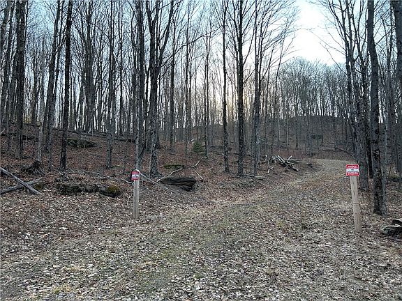 5th image of Huska Rd