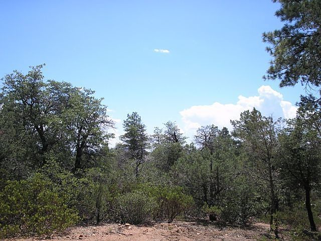 2nd image of 1105 N Cone Flower Cir