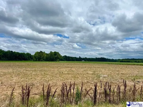 Todds School Rd, Mullins, SC 29574
