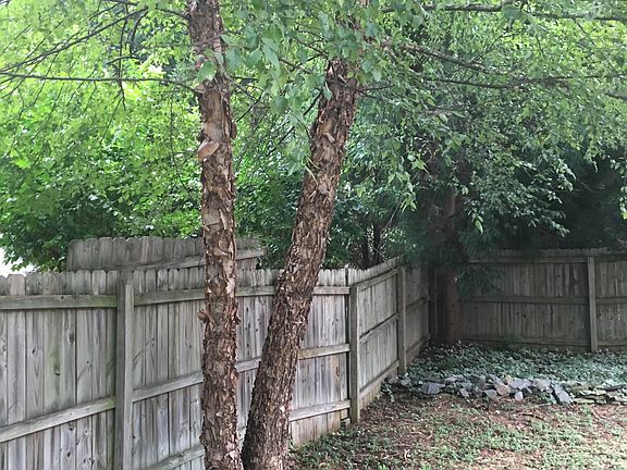 River Birch - bye bye!