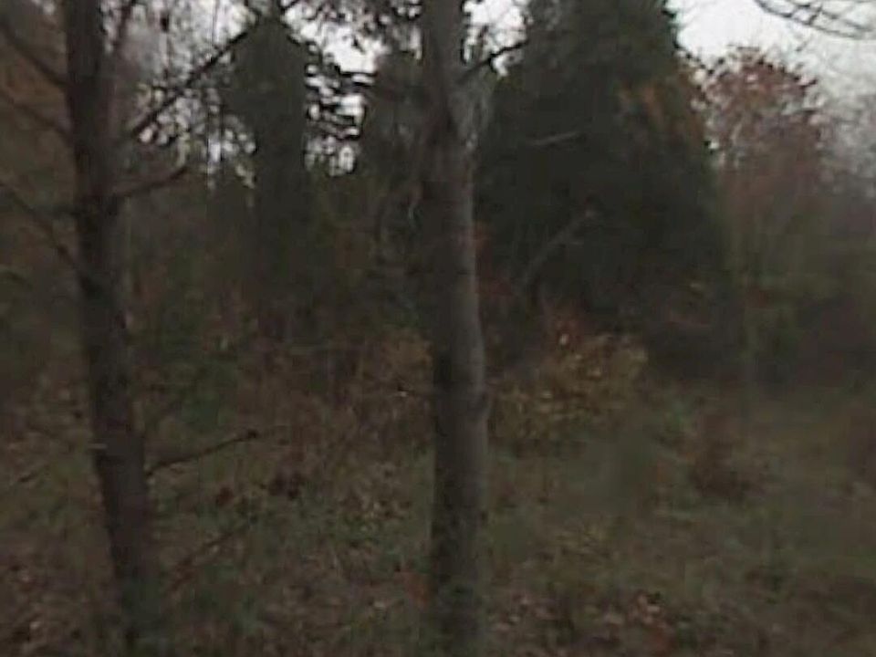 1st image of LOT 53 Willow Dr
