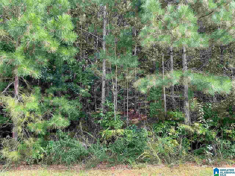 2nd image of Brookwater Way #34