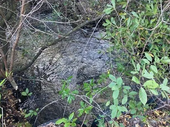 21526 NW Isoletta Ln, Altha, FL 32421