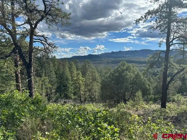 70 Rocky Ridge 1, Pagosa Springs, CO 81147
